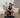 Elevate Home Gym Essentials with Smarter, Sleeker Equipment